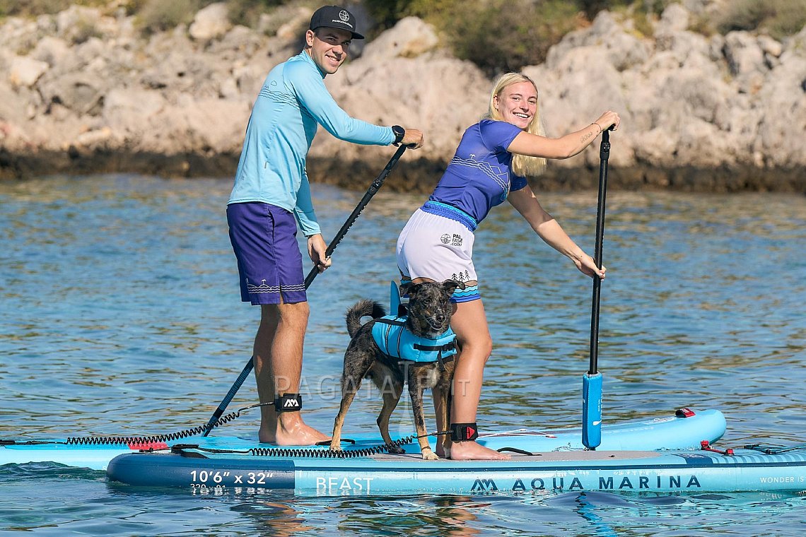 Outfit donna 6 - turchese - lycra corta, kraťasy volné, giubbotto per cani squalo