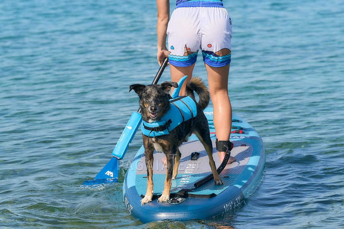 Outfit donna 6 - turchese - lycra corta, kraťasy volné, giubbotto per cani squalo