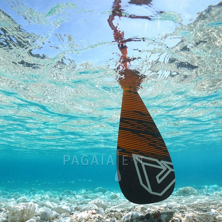 PAGAIA AQUA MARINA CARBON X in 2 sezioni