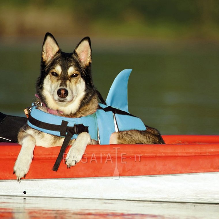 Záchranná plovací vesta pro psa Nobby Elen neon ŽRALOK modrá