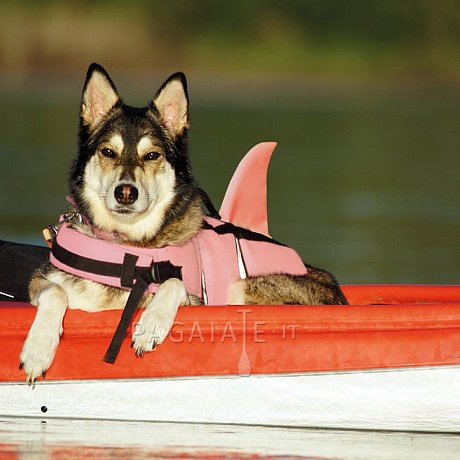 Giubbotto di salvataggio per cani Nobby Elen - neon rosa SQUALLO