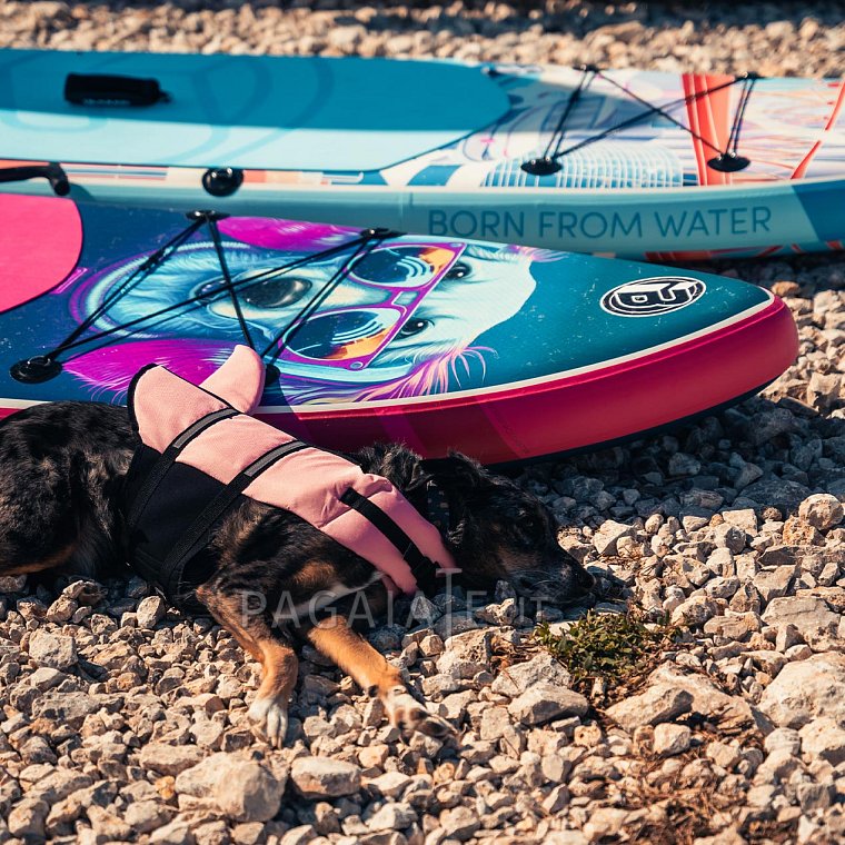 Paddleboard iBOARD 11' DOG - nafukovací