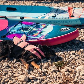 SUP iBOARD 11' DOG - SUP gonfiabile