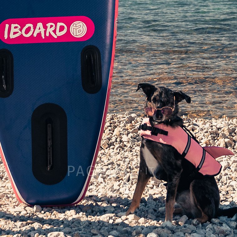 SUP iBOARD 11' DOG - SUP gonfiabile