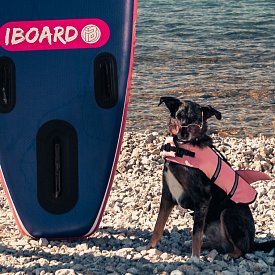 SUP iBOARD 11' DOG - SUP gonfiabile