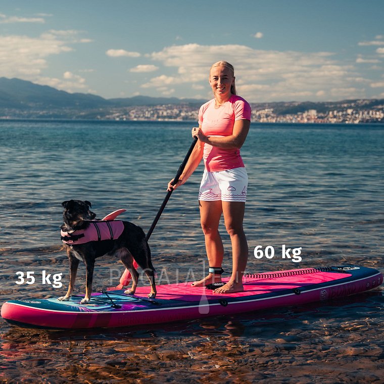 SUP iBOARD 11' WHALE - SUP gonfiabile
