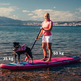SUP iBOARD 11' WHALE - SUP gonfiabile