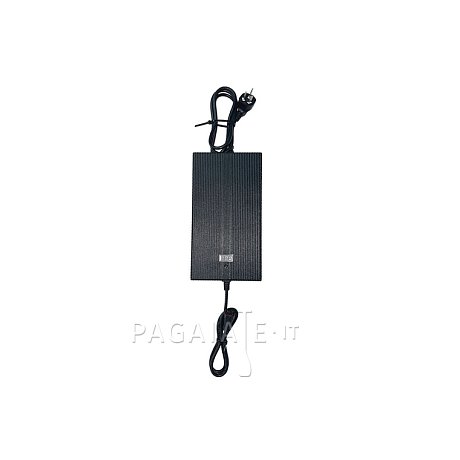 Caricabatterie rapido per motore elettrico WOLONG FLOWSTAR 1,5 kW