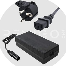 Caricabatterie rapido per motore elettrico REMIGO One 42V 9,5A 399W 230V
