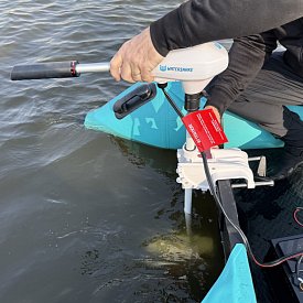 Motore fuoribordo WATERSNAKE VENOM SXW 44/36 a 12 V