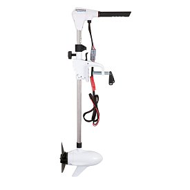 Motore fuoribordo WATERSNAKE ADVANCE 70/36 a 12 V