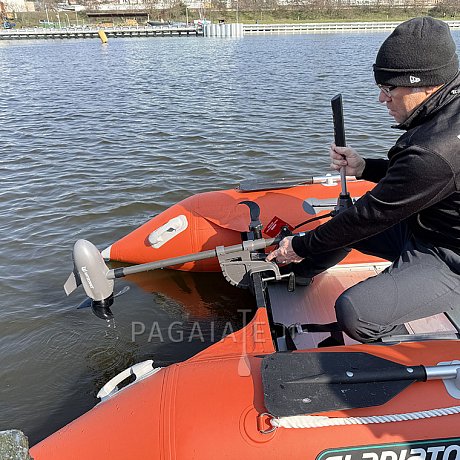 Motore fuoribordo WATERSNAKE PRIME 70/36 a 12 V