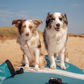 Tappetino protettivo per cani MOAI Classic Dog